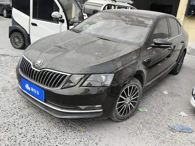 2019 Škoda Octavia TSI230 DSG Zhixing Luxury Edition China VI, фото 2, лот 11002617