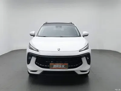 2021 Dongfeng Fengxing T5 EVO 1.5TD DCT Diamond Edition, фото 3, лот 11146545