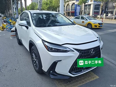 2022 Lexus NX 260 FWD Joy Creation Edition, фото 4, лот 10319231