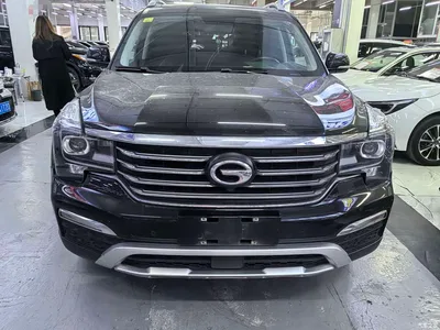 2017 GAC Trumpchi Trumpchi GS8 320T 2WD Luxury Edition (7-Seater), фото 2, лот 11073940