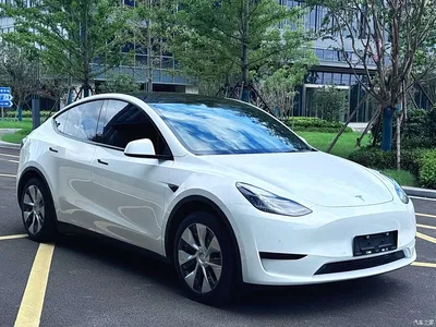2023 Tesla Model Y Rear-Wheel Drive Edition, фото 3, лот 10392465