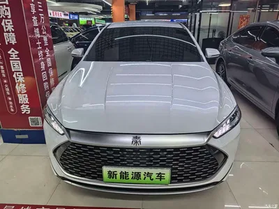 2023 BYD Qin PLUS Champion Edition DM-i 55KM Leading, фото 2, лот 11243373