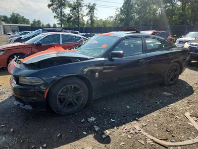 2019 DODGE CHARGER SXT, фото 1, лот 10668079
