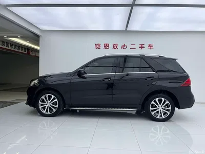 2017 Mercedes-Benz GLE 320 4MATIC Luxury, фото 3, лот 10297153