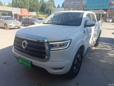 2019 Great Wall Pao 2.0T Automatic Gasoline 4WD Comfort GW4C20B, фото 2, лот 11502862