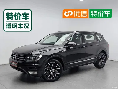 2020 Volkswagen Tiguan L 330TSI Auto 2WD Smart Luxury China VI, фото 1, лот 10606276