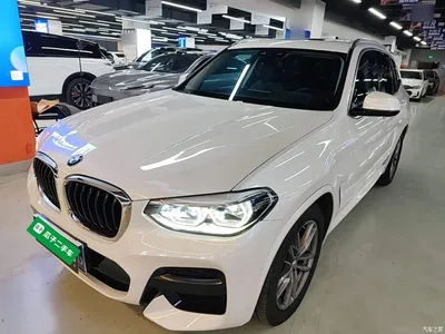 2021 BMW X3 xDrive25i M Sport Package, фото 1, лот 11174642