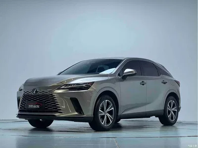 2025 Lexus RX 300 4WD Premium Edition, фото 1, лот 10314133