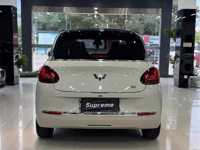 2023 Wuling Motors Wuling Bingo 333km Smart Connectivity Edition, фото 4, лот 10476391