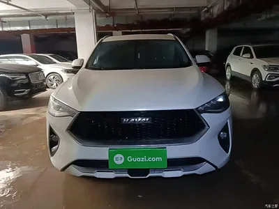 2019 Haval F7 2.0T 4WD i-Joy China VI, фото 3, лот 10285736