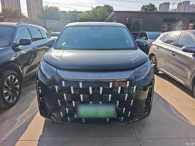 2025 BYD M9 Model 1060 Pilot Edition, фото 3, лот 11149826