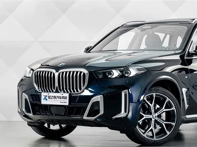 2023 BMW X5 xDrive 30Li Premium M Sport Package, фото 3, лот 10304881
