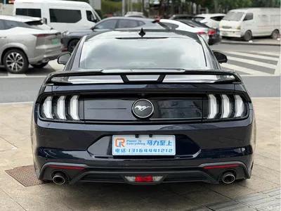 2021 Ford Mustang 2.3T EcoBoost Obsidian Phantom Special Edition, фото 4, лот 10417672