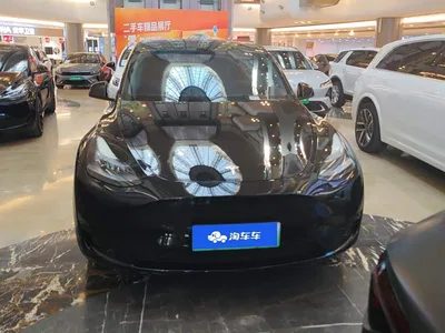 2024 Tesla Model Y Rear-Wheel Drive Version, фото 2, лот 10955024