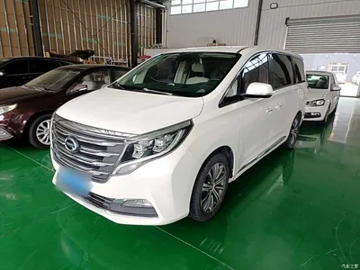2018 GAC Trumpchi Trumpchi M8 320T Premium Edition, фото 1, лот 10422942