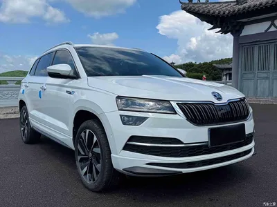 2022 Škoda Karoq TSI280 Luxury Edition, фото 3, лот 10349415