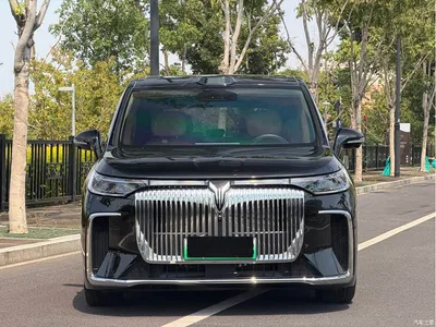 2025 Voyah Auto Voyah Dreamer Model PHEV Basic Version, фото 2, лот 11539598