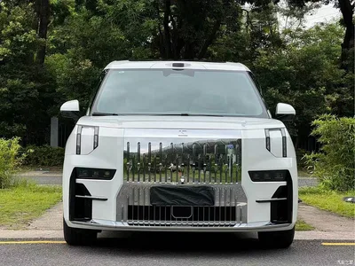 2024 ZEEKR 009 7-Seat Aisle AWD Version 108kWh, фото 2, лот 11206310