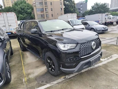 2021 Great Wall Pao 2.0T Commercial Edition Automatic Diesel 4WD Elite Long Box GW4D20M, фото 4, лот 11513450