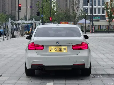 2017 BMW 3 Series 320Li M Sport, фото 3, лот 10769159