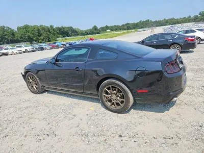 2014 FORD MUSTANG, фото 2, лот 10574673