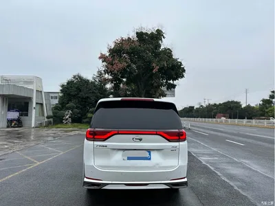 2021 GAC Trumpchi Trumpchi M8 Leading Show Series 390T Prestige Edition, фото 4, лот 10419766