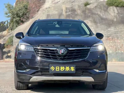 2020 Buick Envision Plus 28T AWD Luxury, фото 2, лот 11582046