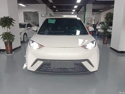 2024 BYD Seagull Glory Edition 305km Vitality Edition, фото 3, лот 10262831