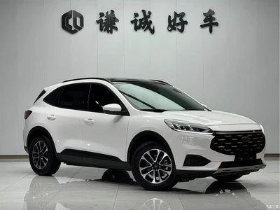 2020 Ford Escape EcoBoost 245 2WD Leisure Edition, фото 3, лот 10296835