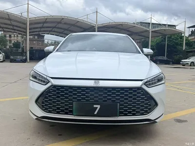 2024 BYD Qin PLUS Glory Edition DM-i 55KM Leading, фото 3, лот 11570303