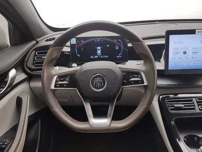 2023 BYD Qin PLUS Champion Edition DM-i 55KM Leading, фото 3, лот 10362770