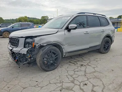 2024 KIA TELLURIDE SX-PRESTIGE X-LINE, фото 1, лот 10781825