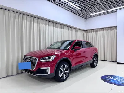 2019 Audi Q2L e-tron Pure Electric Smart Cool Edition, фото 1, лот 10473201