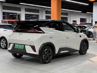 2025 BYD Seagull Smart Driving Edition 405km Flying Edition, фото 4, лот 10253965