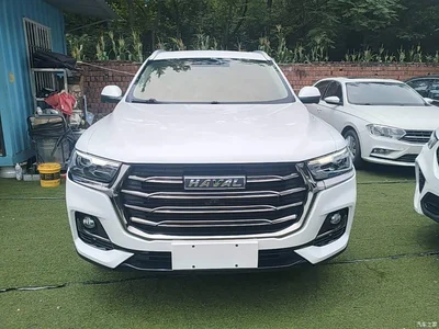 2021 Haval H6 Model National Trend Edition 1.5T Auto Champion, фото 3, лот 10285950