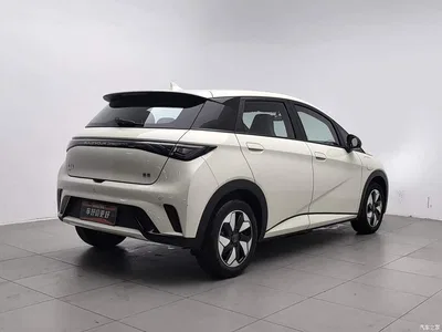 2025 BYD Dolphin 420km Freedom Edition, фото 2, лот 10450640