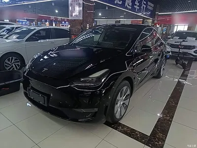 2021 Tesla Model Y Standard Range Rear-Wheel Drive, фото 1, лот 11579786