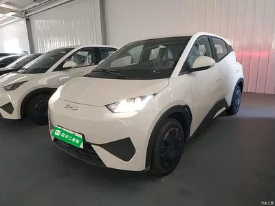 2025 BYD Seagull Smart Drive Edition 305km Vitality Version, фото 1, лот 10263023