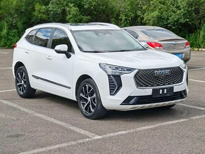2021 Haval First Love 1.5T Automatic Premium Edition, фото 3, лот 11170865