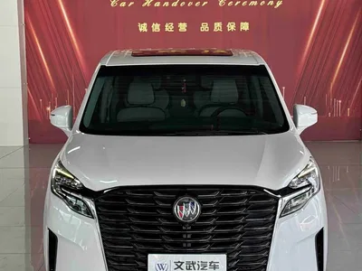 2023 Buick GL8 ES Landmaster Comfort, фото 1, лот 10256390