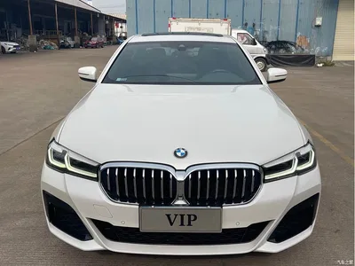 2023 BMW 5 Series 530Li Leading M Sport Package, фото 3, лот 10479300