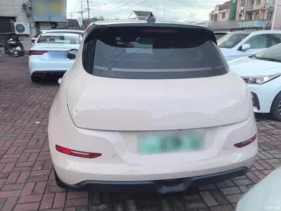 2023 Ora Good Cat 401km Standard Range Comfort LFP, фото 4, лот 10330533