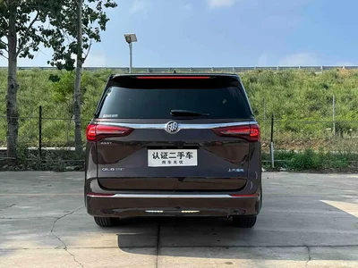 2021 Buick GL8 ES Landlord 653T Premium, фото 3, лот 10256579