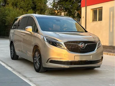 2017 Buick GL8 ES 28T Luxury China V, фото 3, лот 10247977