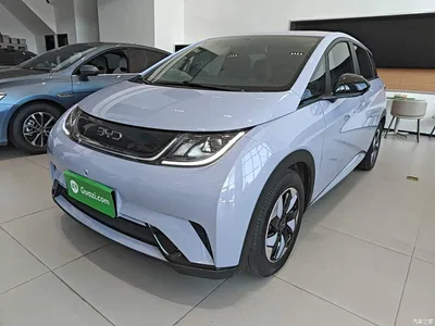 2024 BYD Dolphin Glory Edition 420km Freedom Edition, фото 1, лот 10259023