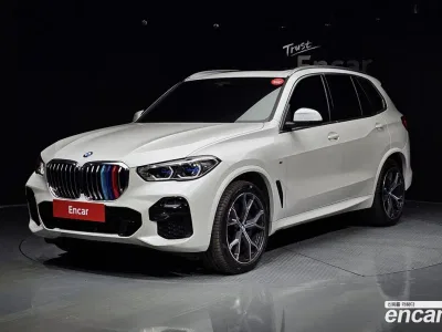 2023 BMW X5 xDrive 30d M Sport, фото 1, лот 10130427