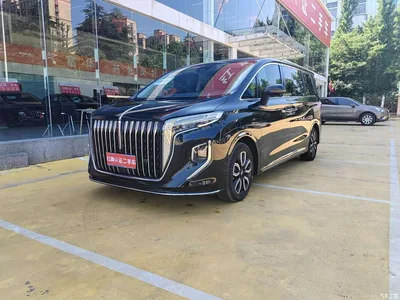 2023 Hongqi HQ9 2.0T Smart Connect Flag Enjoy Edition, фото 1, лот 10304276