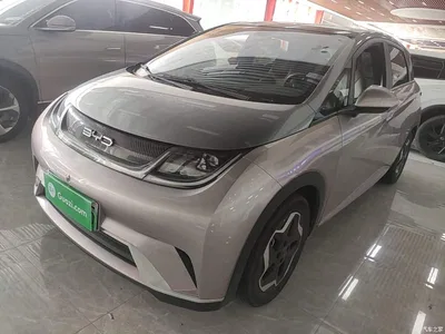 2021 BYD Dolphin Model 405km Fashion Edition, фото 2, лот 10264279
