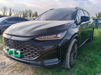 2024 BYD Tang New Energy DM-i Glory Edition 112KM Deluxe, фото 1, лот 10273292