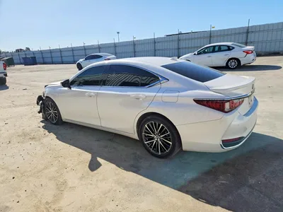 2023 LEXUS ES 300H BASE, фото 2, лот 10904596
